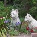 Barbara McCaleb - Facebook