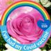 Barbara McCambridge - Facebook