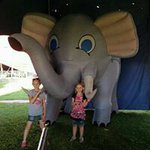 Barbara McCartney - @barbaramccartney - Instagram