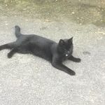 Barbara Mccartney - @barbara.mccartney.10 - Instagram