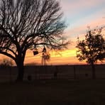 Barbara McCartney - Facebook