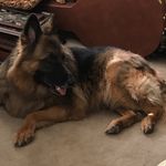 Barbara McCaskill - @barbmcrn76 - Instagram