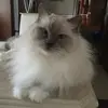 barbaramccaslin1 - @barbaramccaslin1 - TikTok