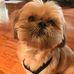 Barbara McClees - Facebook