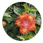 Barbara McClellan - @mcclellanbarb5352 - Instagram