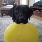Barbara Mcclellan - @barbara.mcclellan - Instagram
