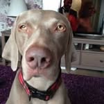 Barbara McClelland - @barbara_mcclelland - Instagram