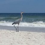 Barbara McClelland - @barbara.mcclelland2013 - Instagram