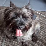 Barbara McClenaghan - Facebook