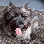 Barbara McClenaghan - @barbaramcclenaghan - Instagram