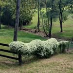 Barbara Kuhn McClendon - @kuhnmcclendon - Instagram