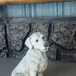 barbara mcclendon - @bmcclendon1947 - Instagram