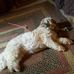 Barbara McClung - Facebook