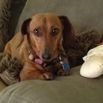 Barbara McCormick - @mcblzz41 - Instagram