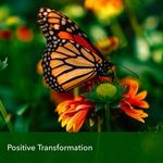 Barbara McCormick - @barbara.mccormick.7127 - Instagram