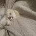Barbara McCourt - Facebook
