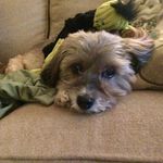 Barbara McCue - @mccue.barbara - Instagram