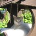 Barbara McCue - Facebook
