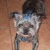 Barbara McCune - Facebook