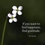 Barbara McDevitt - @mcdevitt557 - Instagram