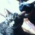Barb Mceachern - Facebook