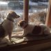 Barbara McEachern - Facebook
