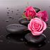 Barbara MçElwain - Facebook