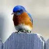 Barbara Mcelyea  bobbie - @barbara.mcelyea.b - TikTok