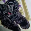 barbaramcgary8 - @barbaramcgary8 - TikTok