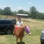 Barbara McGaugh - @mcgaugh3068 - Instagram