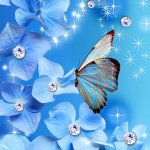 Barbara McGeehan - @bmcgeehan1 - Instagram