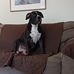 Barbara McGhee - Facebook