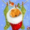 barbaramcgrade6 - @barbaramcgrade6 - TikTok