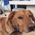 Barbara McGonagle - Facebook