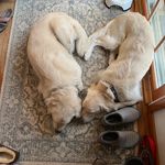 Barbara McGrath Schumacher - @barbara.schumacher.33 - Instagram