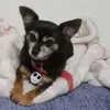 Barb McGregor - @barb.mcgregor - TikTok