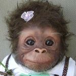 Barbara McGregor - @barbara.mcgregor.92167 - Instagram