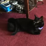 Barbara J McGrew - @barbarajmcgrew - Instagram