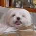 Barbara Mcgrew - Facebook