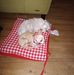 Barbara McGrew - Facebook