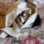Barbara McGriff - @barbara.mcgriff.52 - Instagram