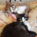 Barbara McGriff - Facebook