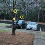 Barbara McGriff - @mcgriff538 - Instagram