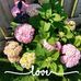 Barb McIntee Blaxall - Facebook