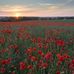 Barbara Mcintee - Facebook
