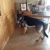 barbaramccaskill - @barbaramccaskill - TikTok
