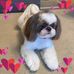 Barbara McMahan - Facebook