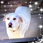 Barbara Mcmahan - @mcmahan5402 - Instagram