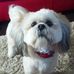 Barbara Mcmichael - Facebook