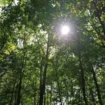 Barb McNutt - @meatbarbara - Instagram